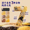 豆花酥/黑豆煎饼 素食人群小零食 谷物粗粮上班下午茶旅游糕点 商品缩略图6
