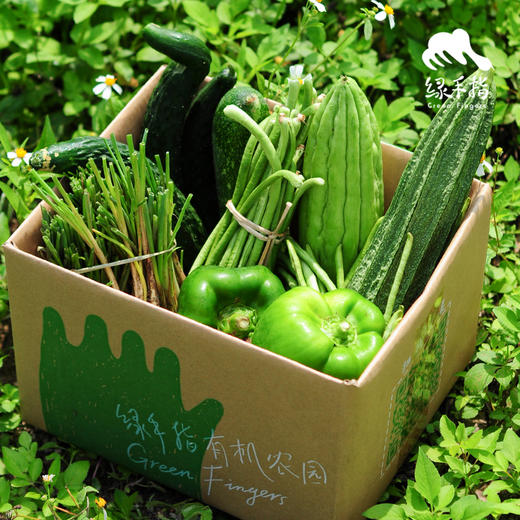 生态自选蔬菜箱（珠海） | 陆运 | 瓜类牛角椒西葫芦）| 绿家自产 *Ecological vegetable box  | In-House Production 商品图2