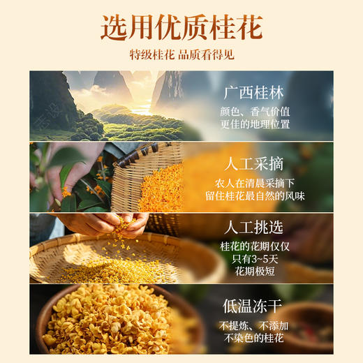 冻干桂花 手工采摘优选原材 低温制作桂花 30g/瓶 商品图1