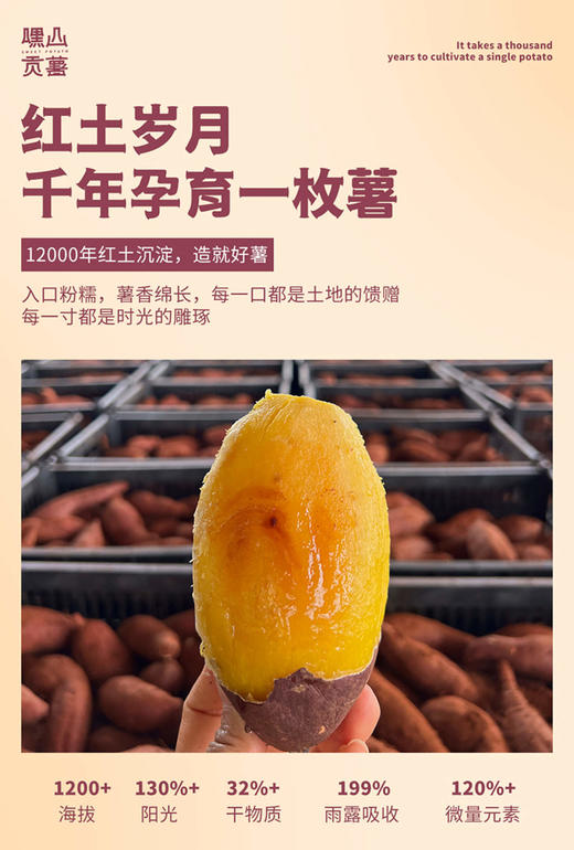 高端榴莲蜜薯礼盒（52良作升级款） 商品图2