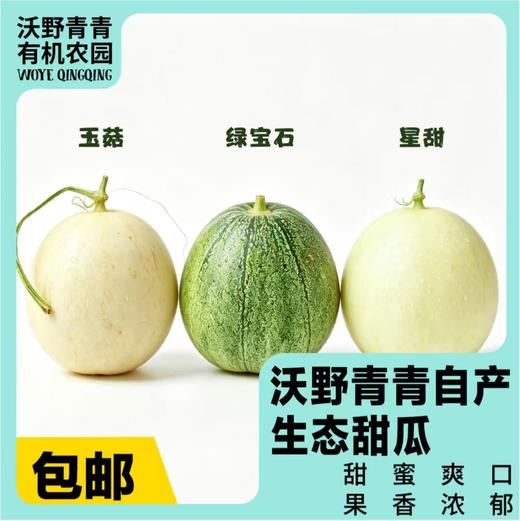 沃野青青自产甜瓜  绿宝石/星甜24/玉菇 | 清香型甜，满屋瓜香，可以带皮吃的甜瓜 商品图13