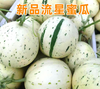 流星蜜露瓜 商品缩略图0