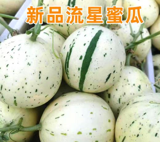 流星蜜露瓜 商品图0
