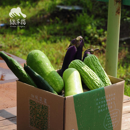 生态自选蔬菜箱（珠海） | 陆运 | 瓜类牛角椒西葫芦）| 绿家自产 *Ecological vegetable box  | In-House Production 商品图5