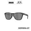 25OAKLEY太阳镜Frogskins Range XL A 9503A07 商品缩略图0