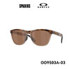 25OAKLEY太阳镜Frogskins Range XL A 9503A03 偏光镜 商品缩略图0
