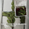 生态荸荠杨梅（邮政空运）| 合作生产* Ecological red bayberry | Partner Production 商品缩略图4