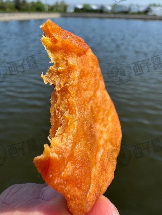 西子糯·维纳斯苹果肉肉/赤霞香妃苹果肉肉 商品图0