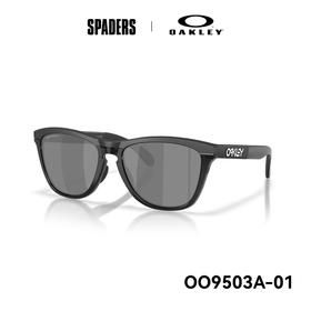 25OAKLEY太阳镜Frogskins Range XL A 9503A01