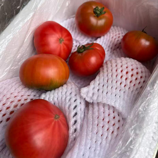 【2.5KG享8折优惠】有机河北草莓西红柿  | 合作生产* Eco- strawberry tomato| Coprodution 商品图6