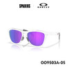25OAKLEY太阳镜Frogskins Range XL A 9503A05 商品缩略图0