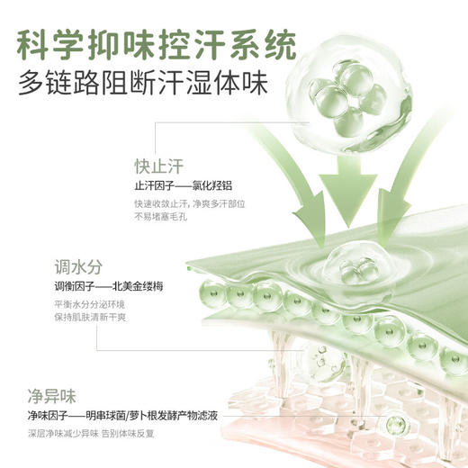 严选 | 袋鼠妈妈爽身香体露 雨后竹林/浪漫樱花 30ml/瓶 商品图5