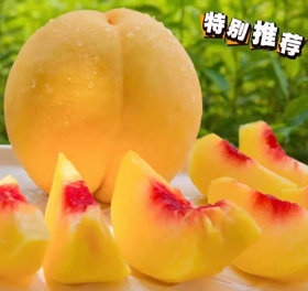 大连黄桃3个装