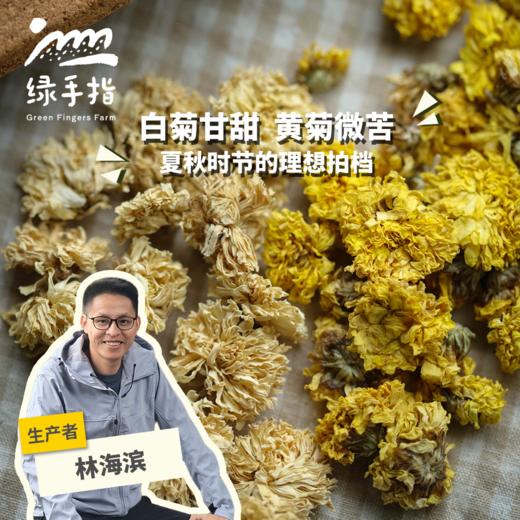 生态怀菊花（黄菊；白菊）| 绿家自产 * Ecological chrysanthemum | In-House Production 商品图0