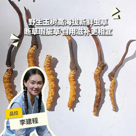【95折优惠】野生高海拔新鲜冬虫夏草（玉树，断草、瑕疵草） | 合作生产 * Yushu high altitude fresh Cordyceps sinensis | Coproduction