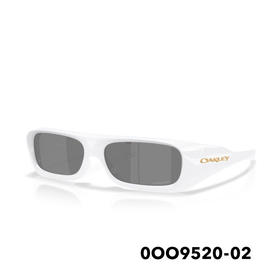 25OAKLEY太阳镜PERFORMANCE LIFESTYLE 9520 02