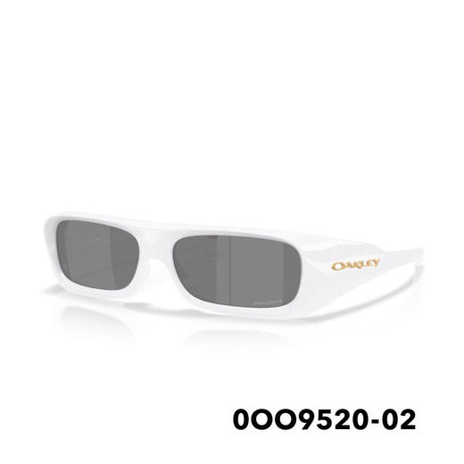 25OAKLEY太阳镜PERFORMANCE LIFESTYLE 9520 02 商品图0