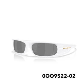 25OAKLEY太阳镜PERFORMANCE LIFESTYLE 9522 02