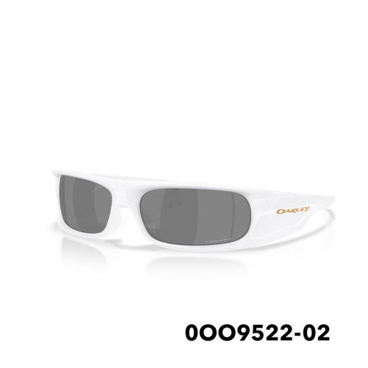 25OAKLEY太阳镜PERFORMANCE LIFESTYLE 9522 02 商品图0