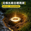 美国 Joomer太阳能小地灯 花园照明灯 IP68防水 造景氛围 过道灯饰 商品缩略图4