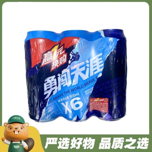 雪花-勇闯天涯6瓶装500ml/包（A07-01-03） 商品图0