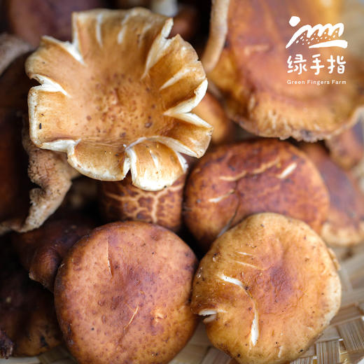 野生鲜香菇 | 合作生产*Wild fresh shiitake mushrooms | Partner Production 商品图1