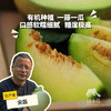 有机网纹瓜（蜜瓜） | 合作生产 * Organic Honeydew melon | Coproduction 商品缩略图0