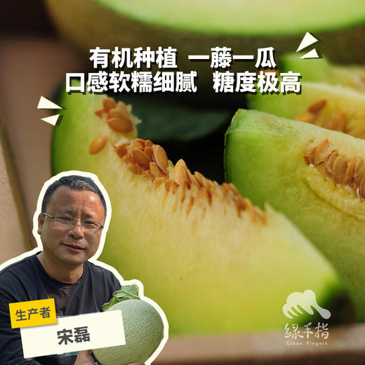 有机网纹瓜（蜜瓜） | 合作生产 * Organic Honeydew melon | Coproduction 商品图0