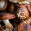 野生鲜香菇 | 合作生产*Wild fresh shiitake mushrooms | Partner Production 商品缩略图2