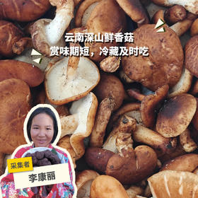 野生鲜香菇 | 合作生产*Wild fresh shiitake mushrooms | Partner Production