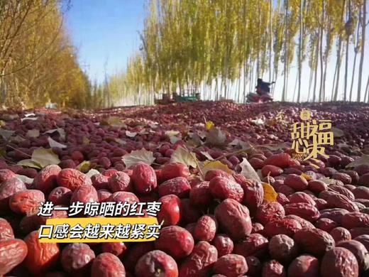 甜心福枣 商品图2