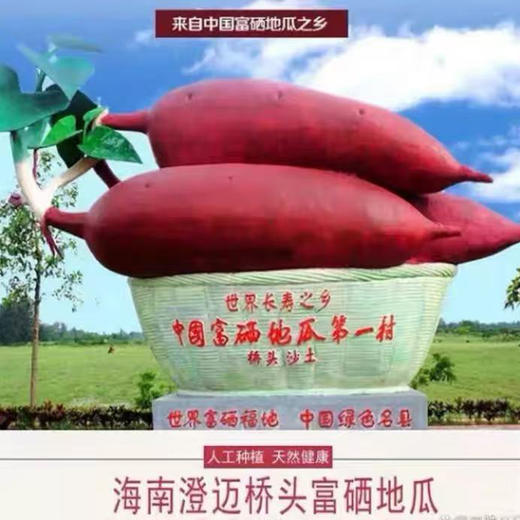 海南澄迈桥头富硒地瓜  8.5-9斤/箱 商品图3