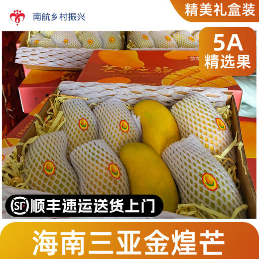 海南三亚金煌芒  8斤/箱 商品图5