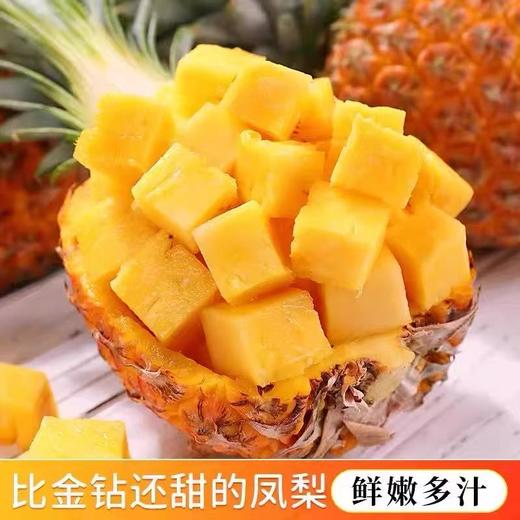 海南芒果凤梨 商品图2