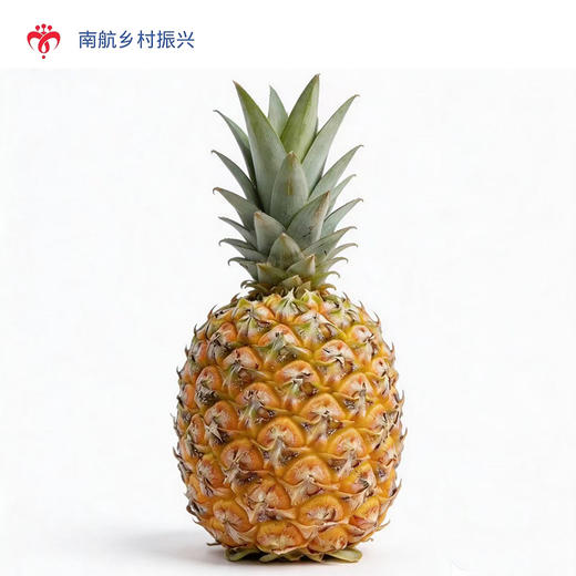 海南芒果凤梨 商品图4