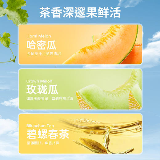 【春山蜜瓜】全「荔」以赴，只为一口新鲜 商品图3