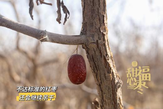甜心福枣 商品图1