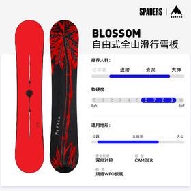25/26BURTON雪板BLOSSOM CHERRY BLOSSOM