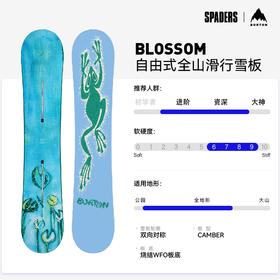 25/26BURTON雪板BLOSSOM FROG
