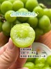 云南三色葡萄混搭 商品缩略图8