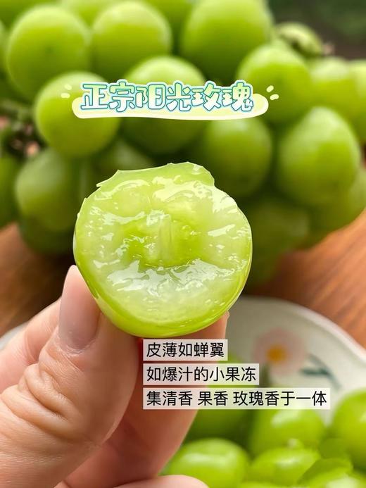 云南三色葡萄混搭 商品图8