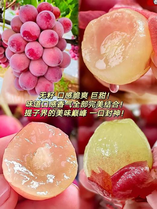 云南三色葡萄混搭 商品图7