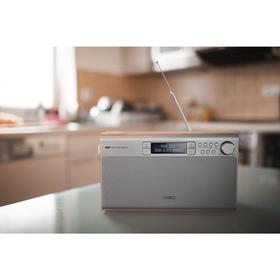 philips/飞利浦 AE5220/12 复古立体声DAB+/FM便携收音机