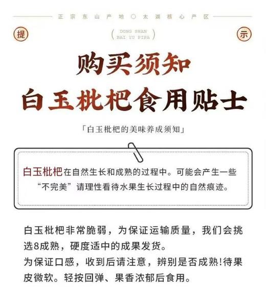 东山白玉枇杷    鲜采现摘直达餐桌  苏州特色 商品图6
