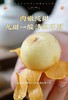 东山白玉枇杷    鲜采现摘直达餐桌  苏州特色 商品缩略图1