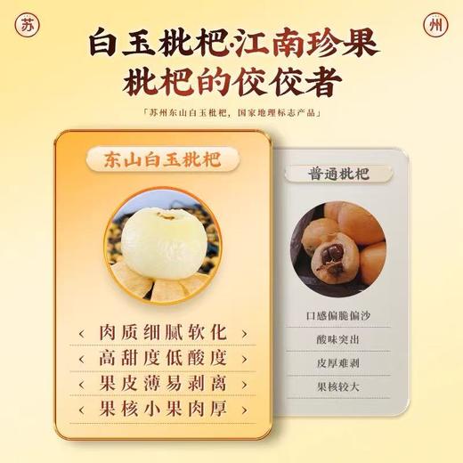 东山白玉枇杷    鲜采现摘直达餐桌  苏州特色 商品图4