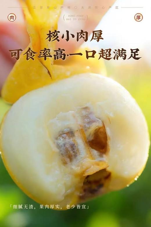 东山白玉枇杷    鲜采现摘直达餐桌  苏州特色 商品图2