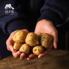 生态土豆 | 绿家自产 * Ecological potato | Self-production 商品缩略图2