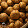 生态土豆 | 绿家自产 * Ecological potato | Self-production 商品缩略图1