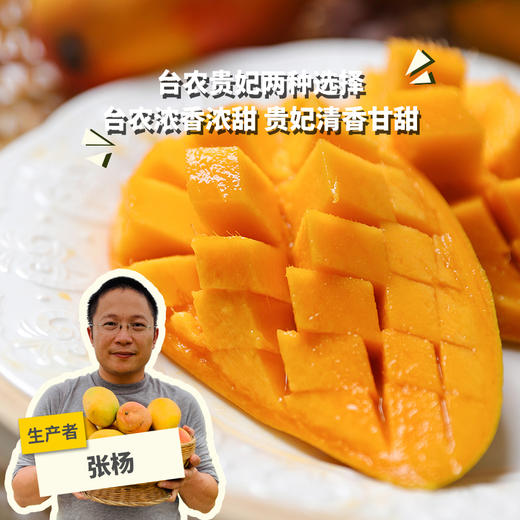有机元江芒果 | 合作生产 *Organic mango | Partner Production 商品图0